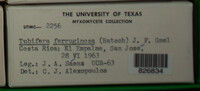 Image Associated With the Occurence